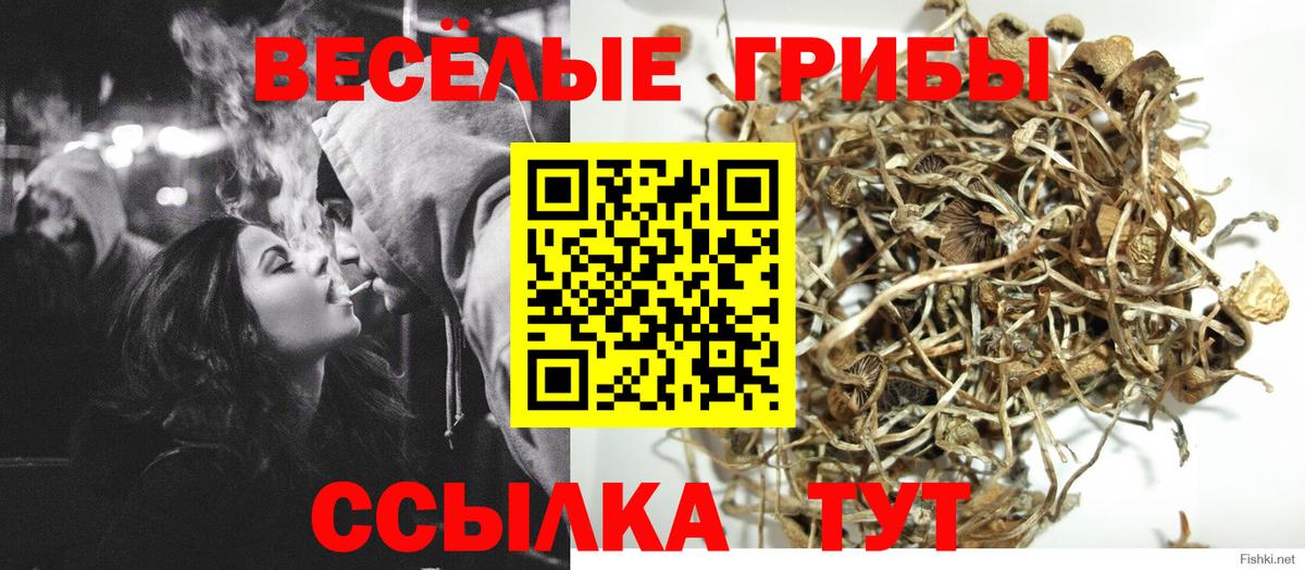 Якутск  Галлюциногенные грибы Psilocybe  Вход с VPN 
