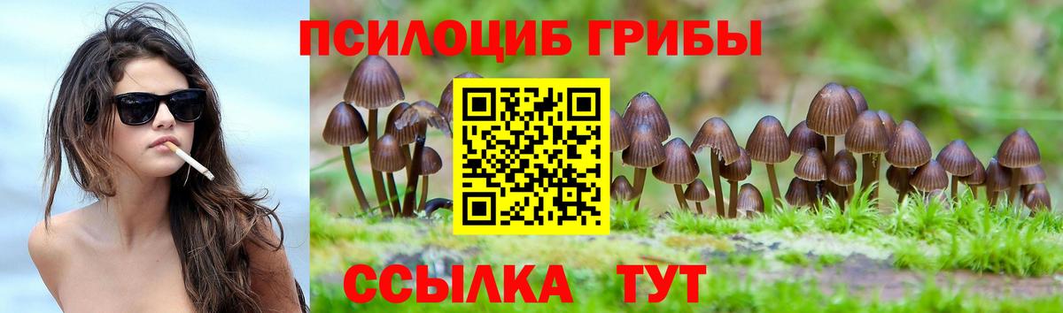 Псилоцибиновые грибы Magic Shrooms Якутск